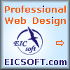 Professional Web Design